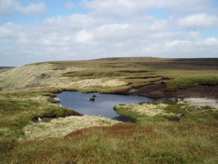 Margery Hill from Wilfrey Edge Margery Hill from Wilfrey Edge